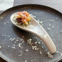 THE PENTHOUSE with weekend terrace - 