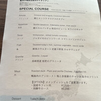 THE PENTHOUSE with weekend terrace - 