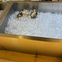 四ツ橋・新町 牡蠣と肉たらしビストロAKIRA - 