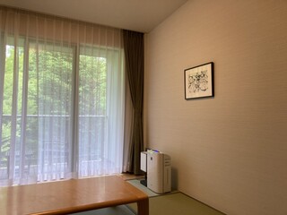 Hotel Harvest Kyu Karuizawa - The room also includes a Japanese-style room.