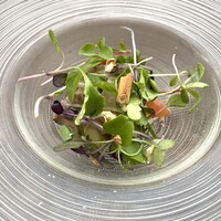 ボーン グランデ アリア - 