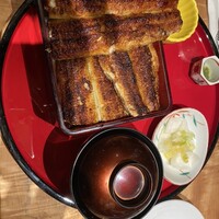 炭焼 うな富士 有楽町店 - 