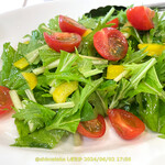 ガストロノミア ヨシ - サラダ