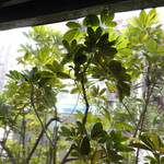 ヴァカンツァ - 初めてアンジェリーナと此のテラスでディナーをしたのは２０１５年１１月