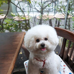 ヴァカンツァ - 一年振りのテラスね〜♬