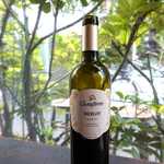 ヴェネトのメルロー