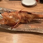 夜ノ焼魚 ちょーちょむすび - 