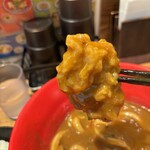 Udon Izakaya Edobori - デカイ鶏天は、カレーダシにタップリくぐらせて(*´-`)