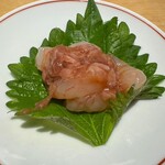 すし処 野毛 松風 - 