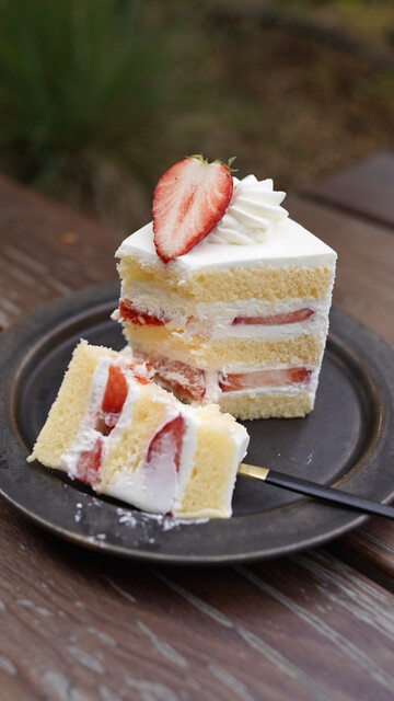 nene様 パティスリー5点セット nene様 パティスリー5点セット