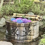 菊水楼 うな菊 - 