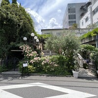 表参道バンブー - 