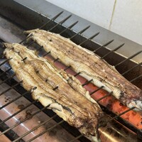 鰻 北白川 - 