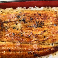 鰻割烹 伊豆栄 本店 -  鰻割烹 伊豆栄 本店 -