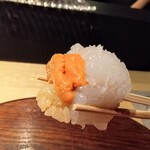 赤坂 鮨大谷 - 馬糞雲丹　叩いたアオリイカが巻いてあります。アヒルみたい♥