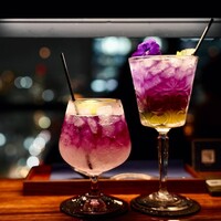 渋谷 Blue bird - 