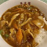 東生園 - 中華風カレーライス