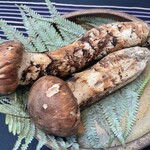 日本料理 TOBIUME - 岩国産の松茸