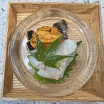 日本料理 TOBIUME - 海味　初夏の海原