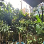 南インド料理 マリアラム - マンションの半地下にありますが、緑がいっぱいでオアシス