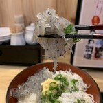 まるごと駿河湾 - 生しらす釜揚げしらす丼　生しらす