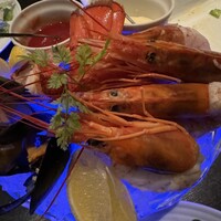 MAIMON GINZA - 