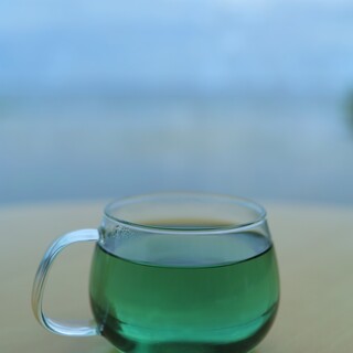 グラスハウス_0