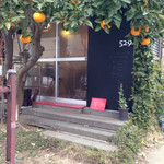 529 - 冬、だいだいがよく実っています。