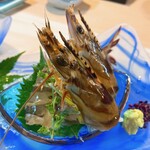 割烹 むら山 - 活車海老刺身