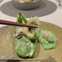 ニシデリア - 