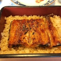 鰻割烹 伊豆栄 不忍亭 - チョット寂しいうな重