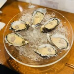 Oyster Lab - 