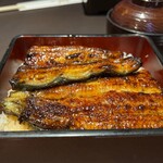 Unagi Chigusa - 