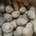 中村ストアー - 料理写真:植え付け用なのか