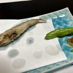 酒菜やまざき - 