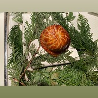 ジョンティ アッシュ - 