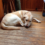 山の家はせがわ