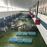 三崎「魚市場食堂」 - 