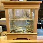 日本料理 かしづき - 天竜川の鮎