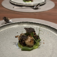 Braceria Buffa - 炭で炙った烏賊と旬野菜のインサラータ