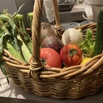 テラットリアエッフェ - 