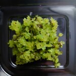 オーベルジーヌ - レンチン前に、しその実漬をフタへ退避