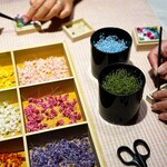 花のある棲家 - 箱庭制作風景２