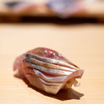 鮨仙八 - 2024.5 長崎産真鯵（あじ）