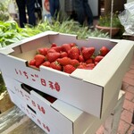 いちご日和 - 