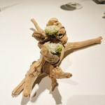 ブレストンコート ユカワタン - 