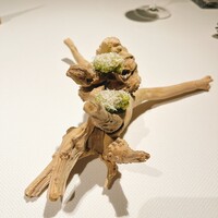 ブレストンコート ユカワタン - 