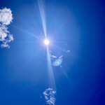 みなと市場 小松鮪専門店 - 輝く太陽はどんなことがあっても奇跡に導いてくれます。