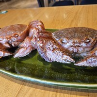 日比谷 蟹みつ - 