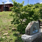 ＭｉｄＣｒｅｅｋ Ｃａｆｅ - 